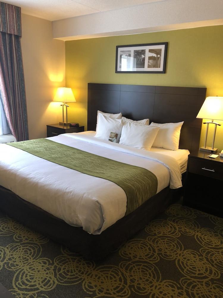 Hotel Comfort &