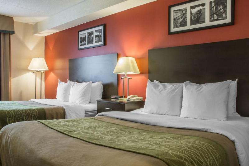 Comfort & Hotel