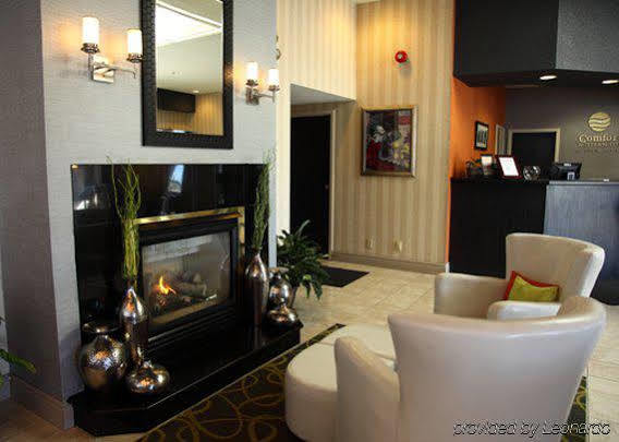 Comfort & Peterborough